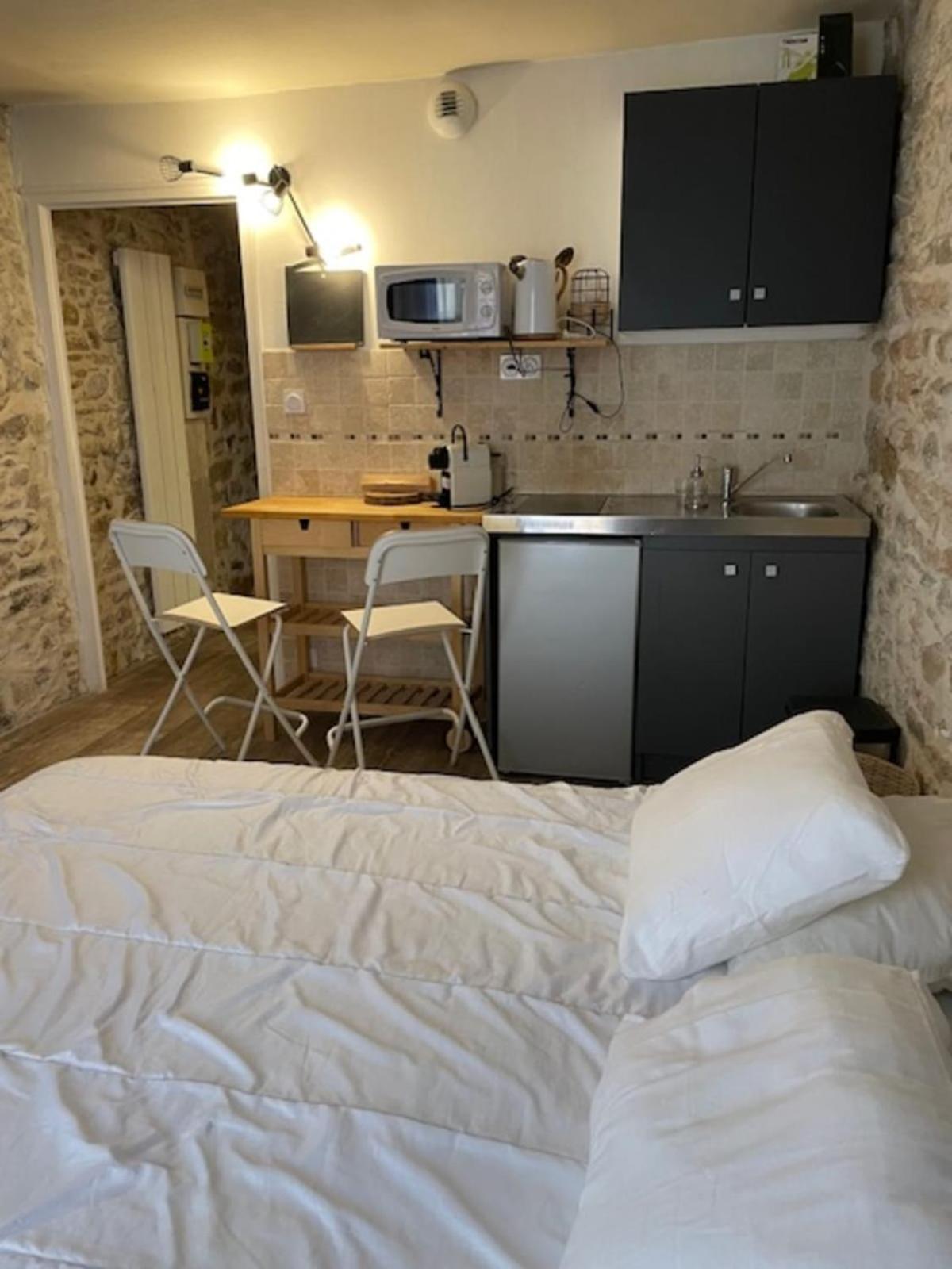 Studio With Exposed Stone Vieux Lyon Buitenkant foto