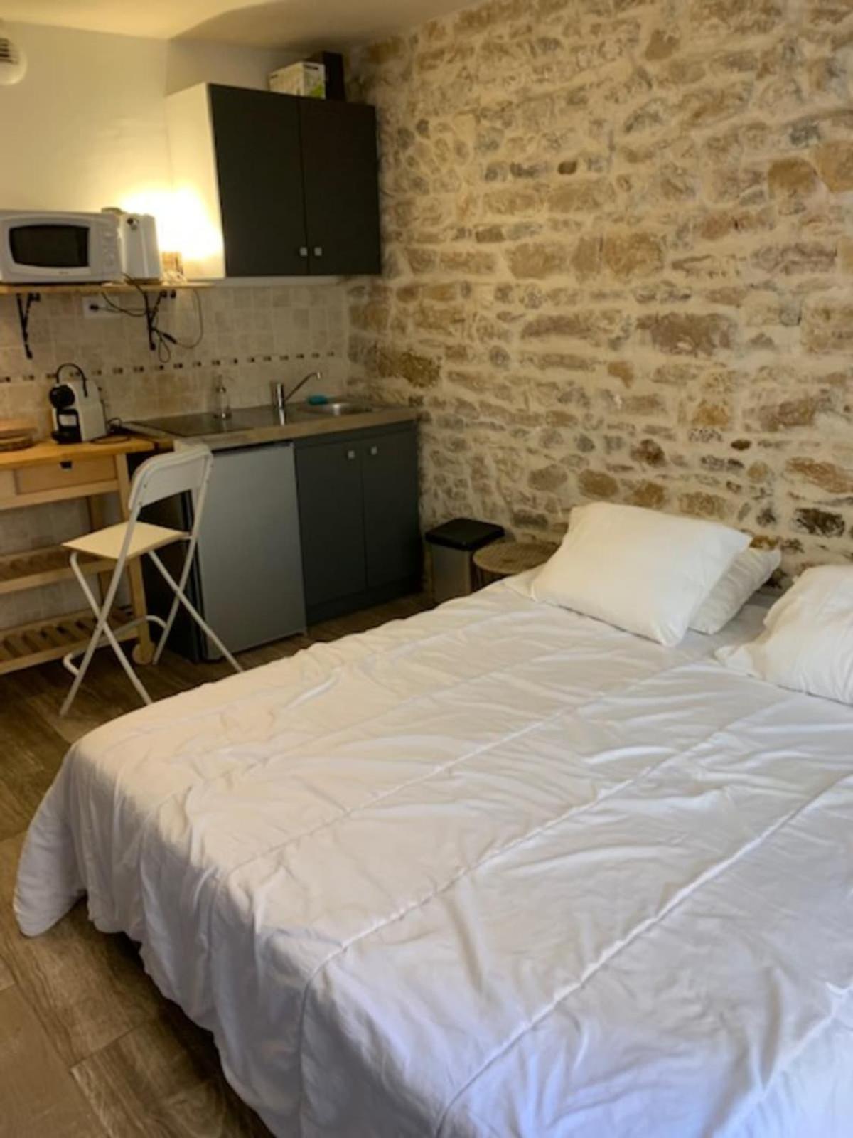 Studio With Exposed Stone Vieux Lyon Buitenkant foto